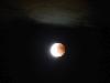 44 eclipse de lune (27/07/2018) (agrandir la photo)