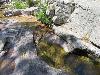 38 randonnee la cascade de piscia di gallu (11/07/2020) (agrandir la photo)