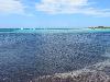 51 plage de piantarella spot de windsurf (16/07/2020) (agrandir la photo)